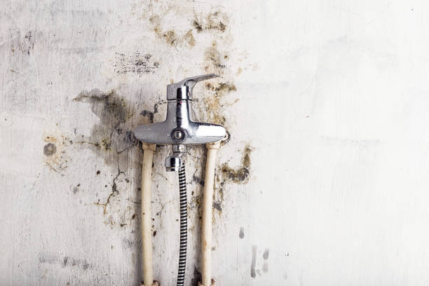 Best Commercial Mold Remediation in Hancock, MI