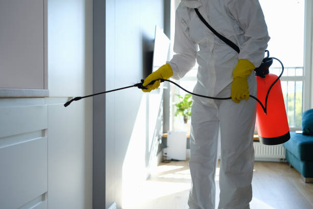 Best Industrial Mold Remediation in Hancock, MI