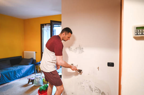 Best Localized Mold Remediation (e.g., coastal areas, humid climates) in Hancock, MI